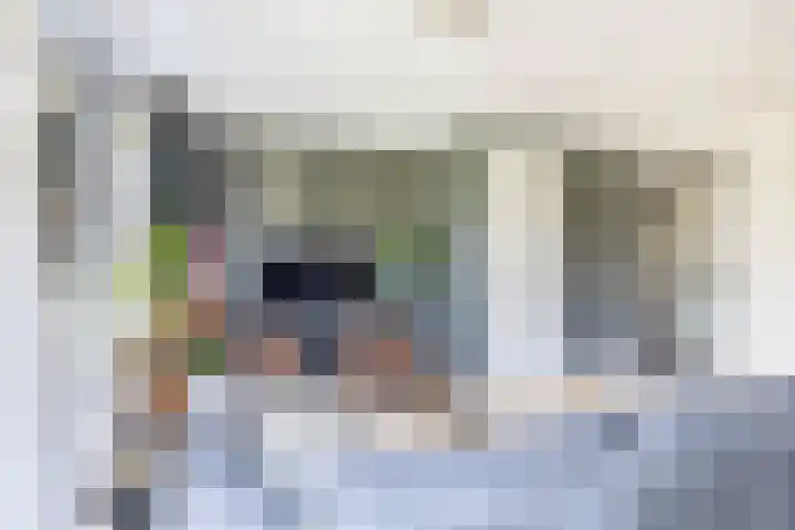 Zwaluwbij 3 Waddinxveen thumbnail 12