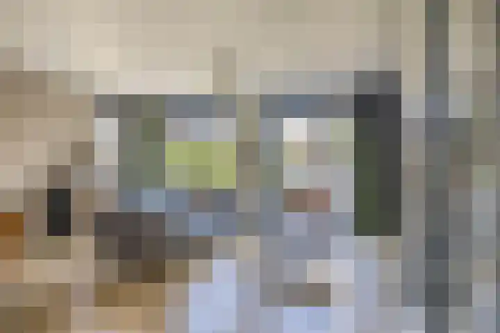 Zwaluwbij 3 Waddinxveen thumbnail 13