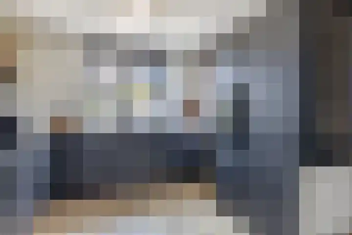 Zwaluwbij 3 Waddinxveen thumbnail 14