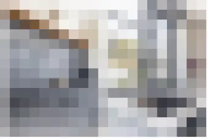 Zwaluwbij 3 Waddinxveen thumbnail 16