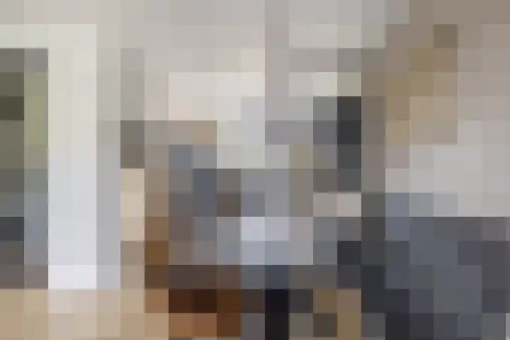 Zwaluwbij 3 Waddinxveen thumbnail 17