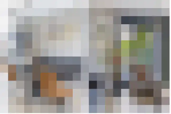 Zwaluwbij 3 Waddinxveen thumbnail 18