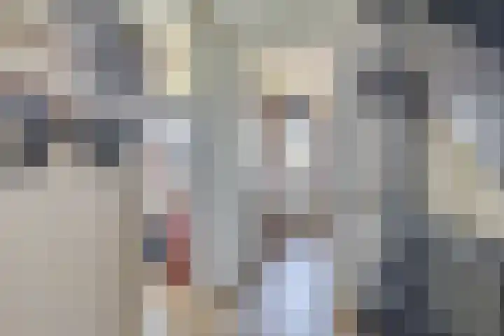 Zwaluwbij 3 Waddinxveen thumbnail 19