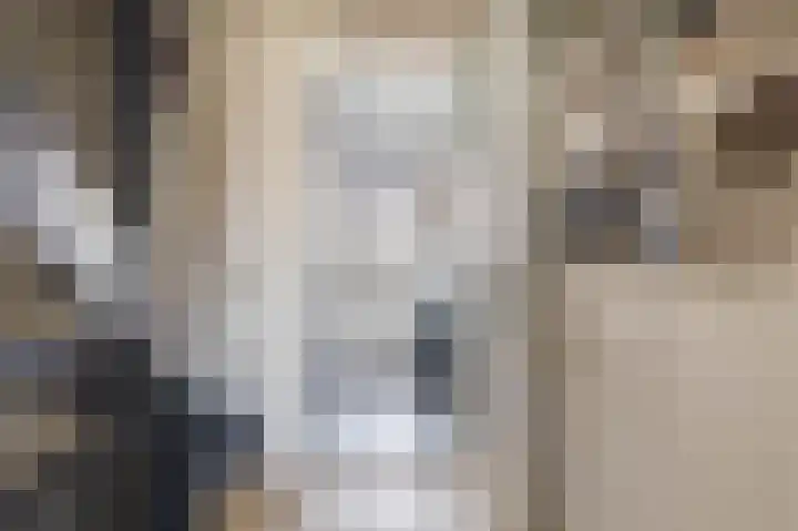 Zwaluwbij 3 Waddinxveen thumbnail 22