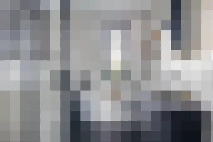 Zwaluwbij 3 Waddinxveen thumbnail 23