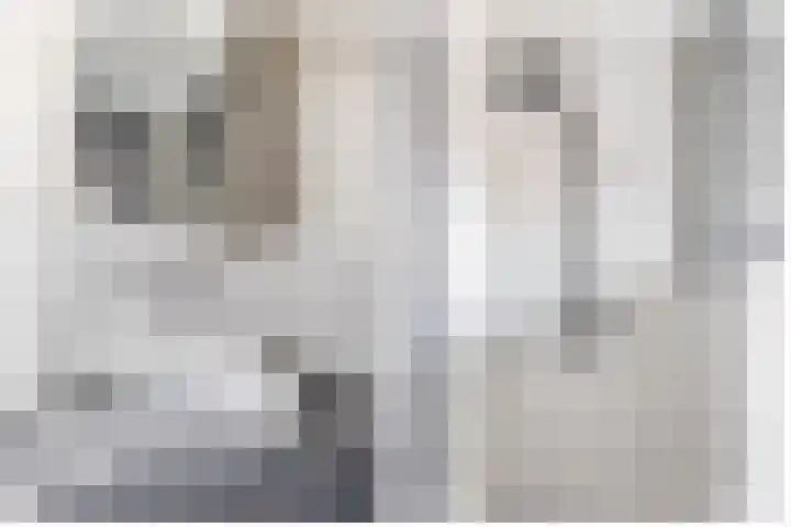 Zwaluwbij 3 Waddinxveen thumbnail 24
