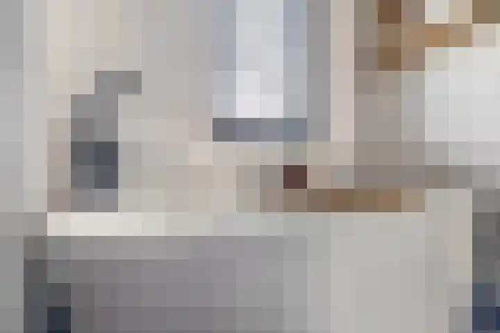 Zwaluwbij 3 Waddinxveen thumbnail 25