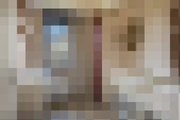 Zwaluwbij 3 Waddinxveen thumbnail 28