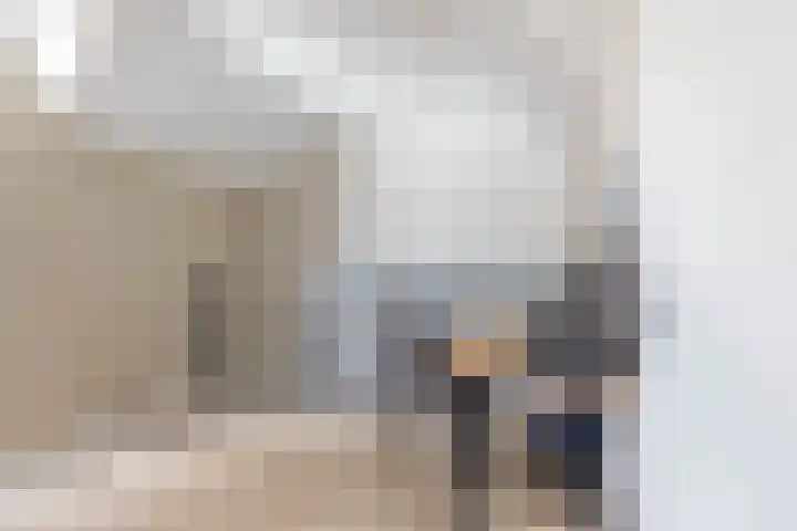 Zwaluwbij 3 Waddinxveen thumbnail 29