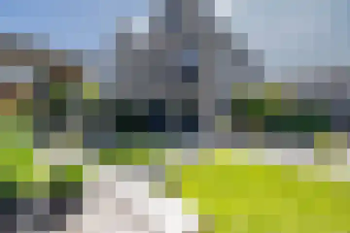 Zwaluwbij 3 Waddinxveen foto 3