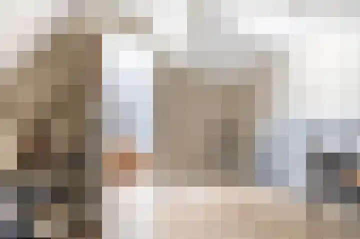 Zwaluwbij 3 Waddinxveen thumbnail 30