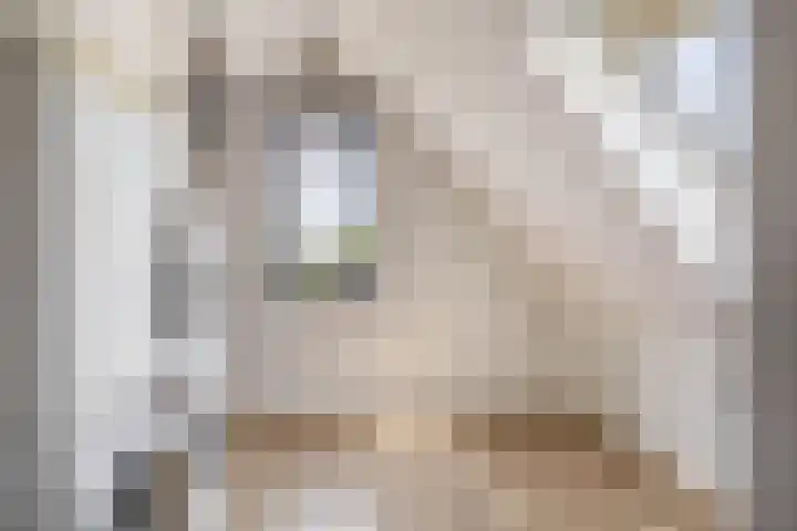 Zwaluwbij 3 Waddinxveen thumbnail 34