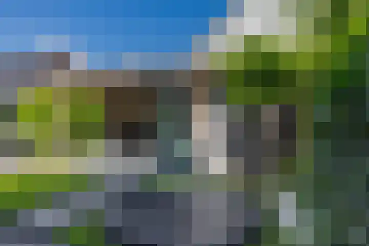 Zwaluwbij 3 Waddinxveen thumbnail 35
