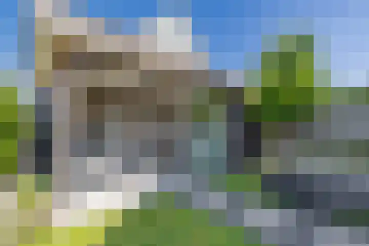 Zwaluwbij 3 Waddinxveen thumbnail 36