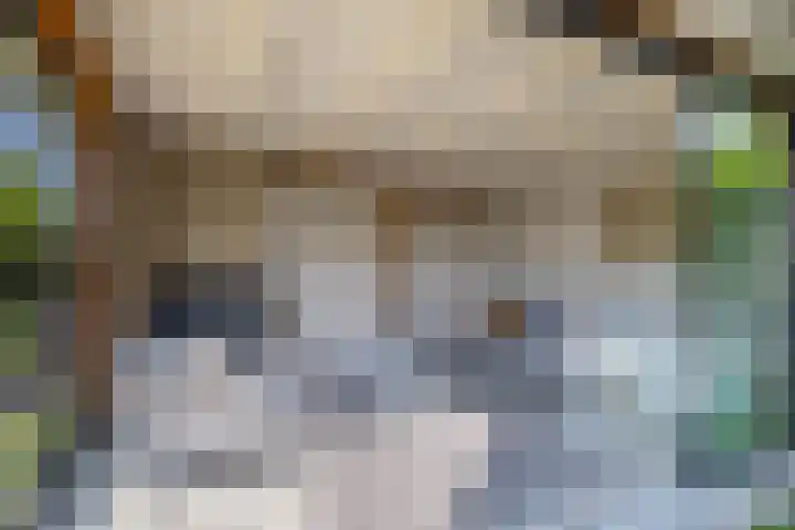 Zwaluwbij 3 Waddinxveen thumbnail 37