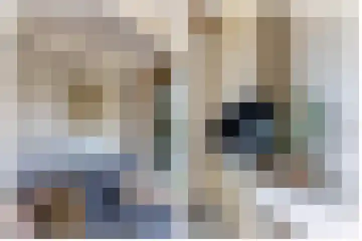Zwaluwbij 3 Waddinxveen thumbnail 39