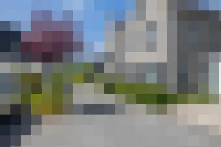 Zwaluwbij 3 Waddinxveen thumbnail 4