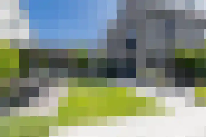 Zwaluwbij 3 Waddinxveen thumbnail 41