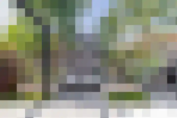 Zwaluwbij 3 Waddinxveen thumbnail 42