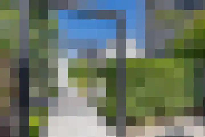 Zwaluwbij 3 Waddinxveen thumbnail 43