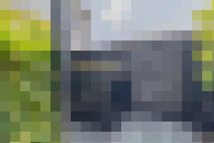 Zwaluwbij 3 Waddinxveen thumbnail 44
