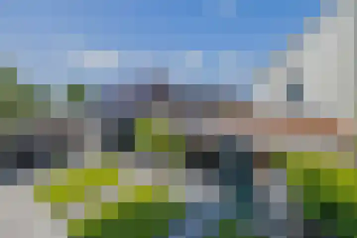 Zwaluwbij 3 Waddinxveen thumbnail 45