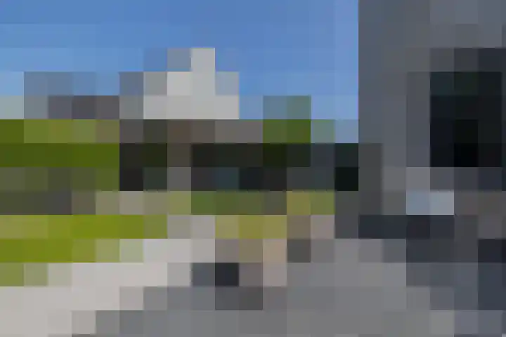 Zwaluwbij 3 Waddinxveen thumbnail 46