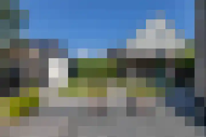 Zwaluwbij 3 Waddinxveen thumbnail 47