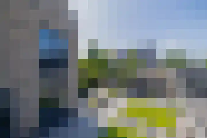 Zwaluwbij 3 Waddinxveen thumbnail 48