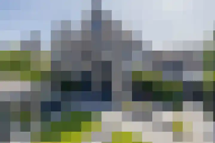 Zwaluwbij 3 Waddinxveen thumbnail 49