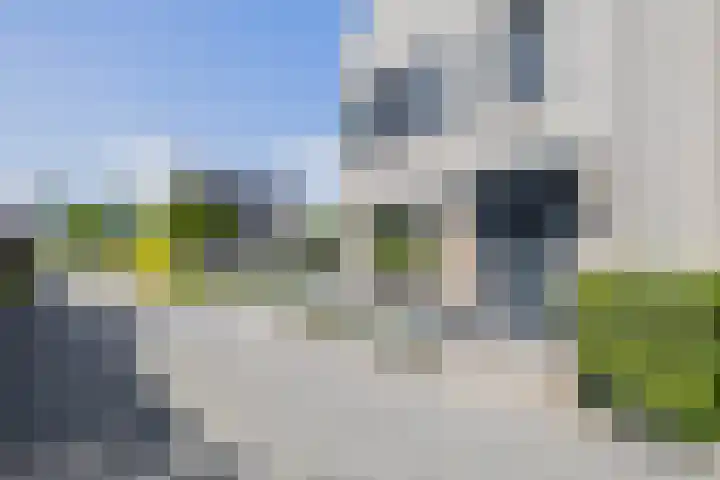 Zwaluwbij 3 Waddinxveen thumbnail 5