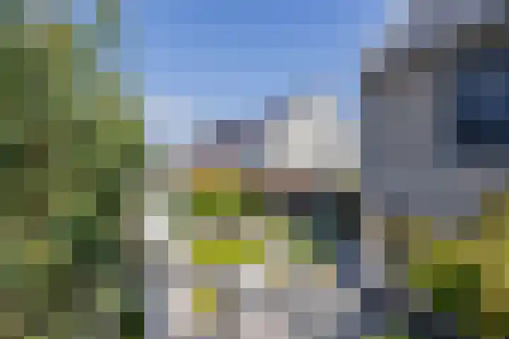 Zwaluwbij 3 Waddinxveen thumbnail 50