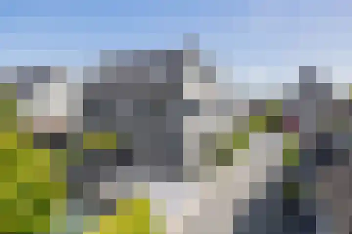 Zwaluwbij 3 Waddinxveen thumbnail 51