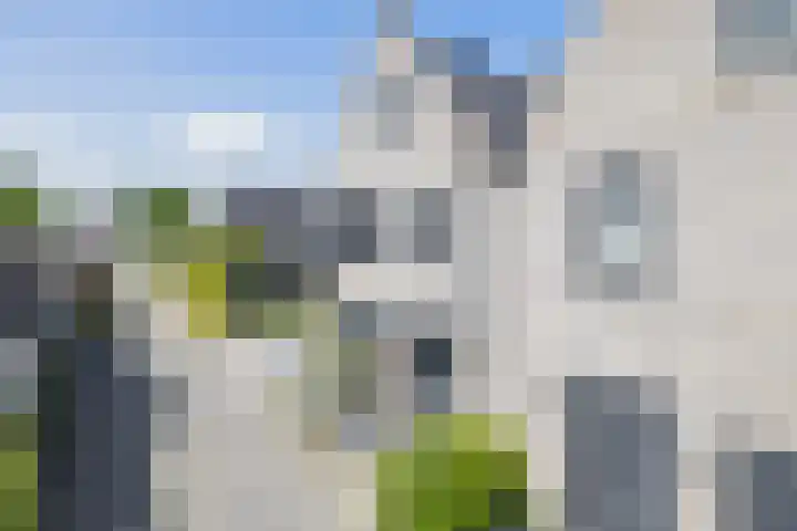 Zwaluwbij 3 Waddinxveen thumbnail 52