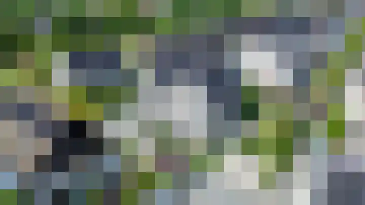 Zwaluwbij 3 Waddinxveen thumbnail 53