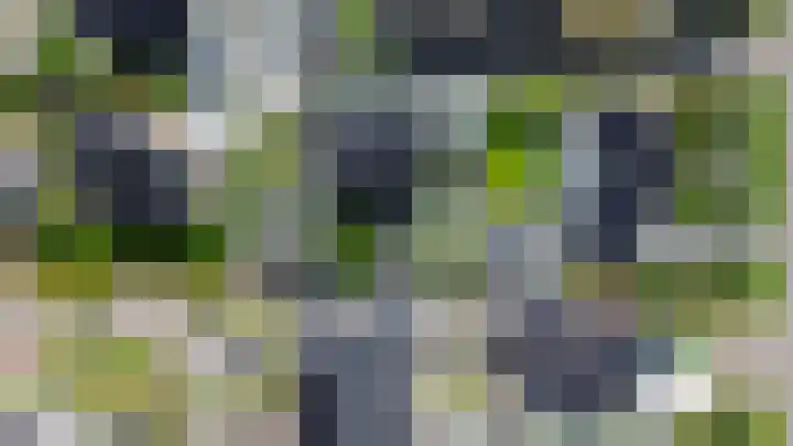 Zwaluwbij 3 Waddinxveen thumbnail 54