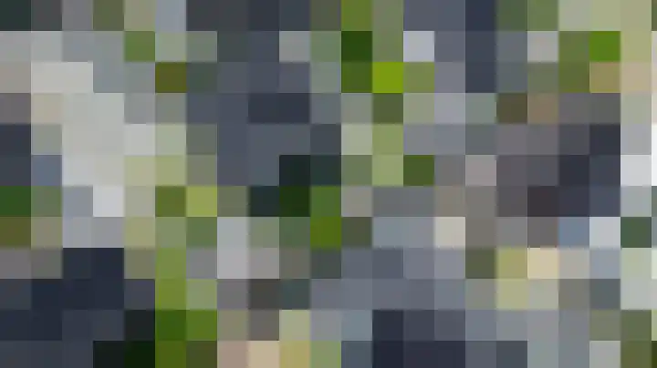 Zwaluwbij 3 Waddinxveen thumbnail 55