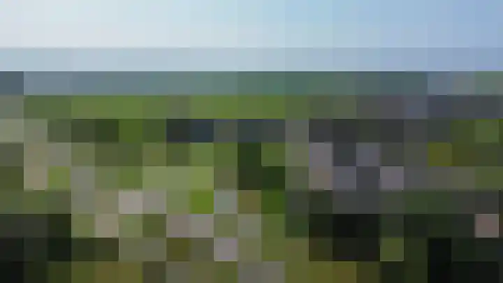 Zwaluwbij 3 Waddinxveen thumbnail 56