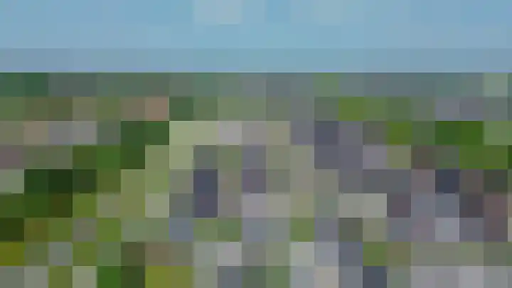 Zwaluwbij 3 Waddinxveen thumbnail 57