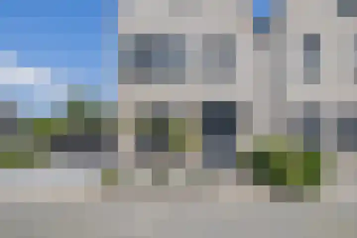 Zwaluwbij 3 Waddinxveen thumbnail 6