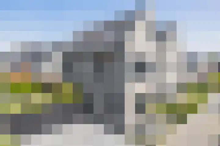 Zwaluwbij 3 Waddinxveen thumbnail 64