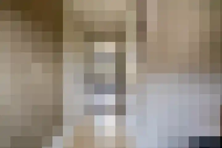 Zwaluwbij 3 Waddinxveen thumbnail 7