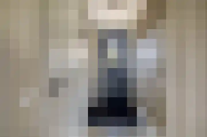Zwaluwbij 3 Waddinxveen thumbnail 8