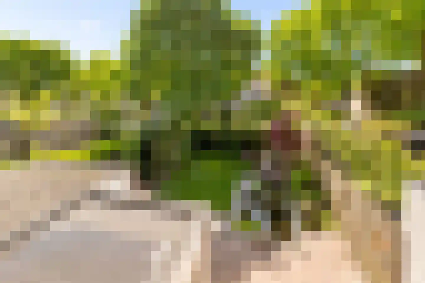 Zwaluwborch 27 Rosmalen thumbnail 26