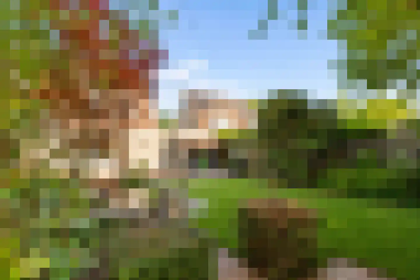 Zwaluwborch 27 Rosmalen thumbnail 29