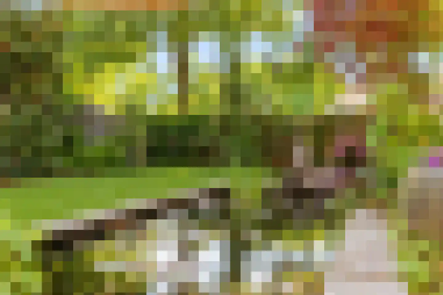 Zwaluwborch 27 Rosmalen thumbnail 33