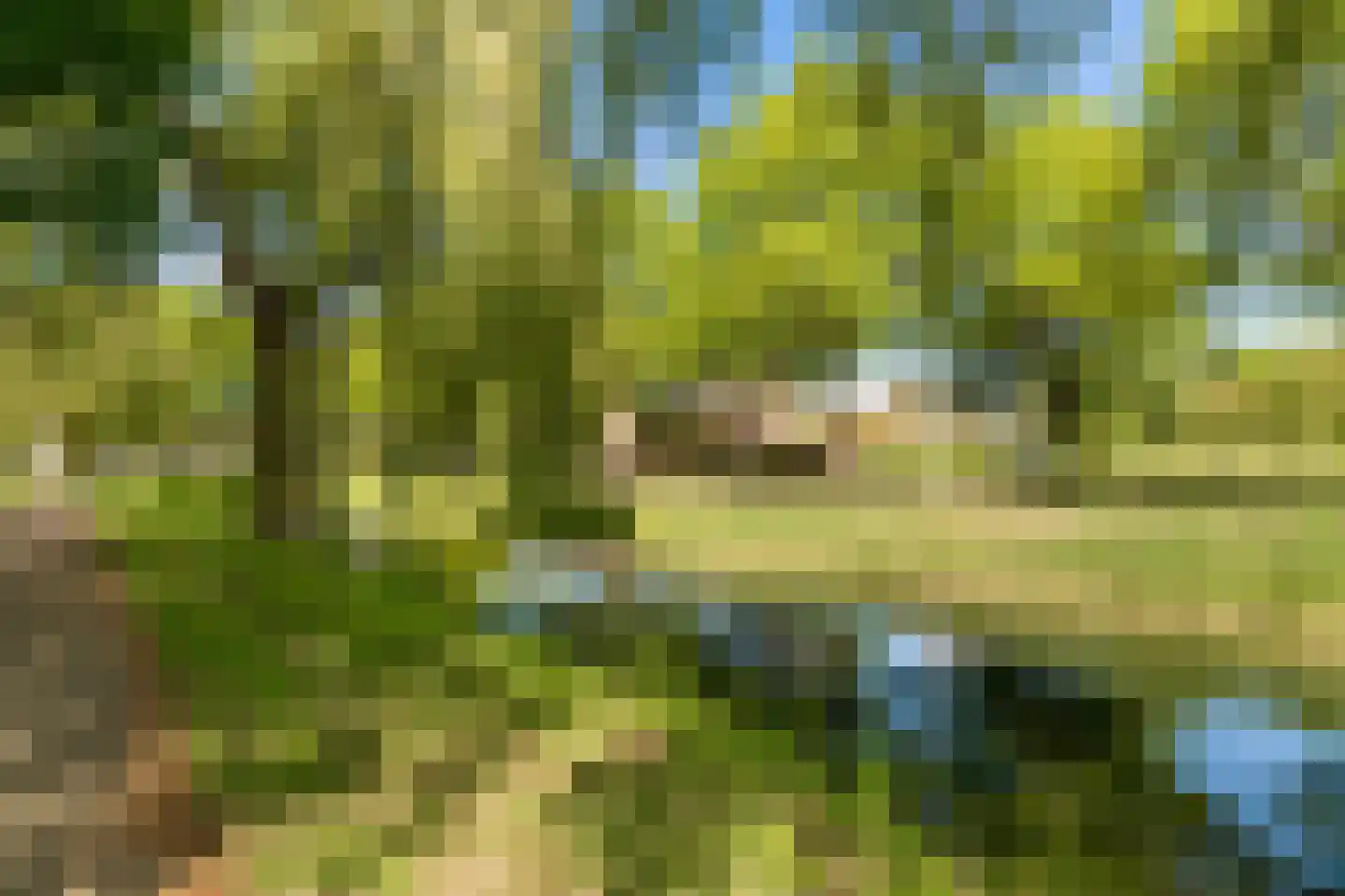 Zwaluwborch 27 Rosmalen thumbnail 38