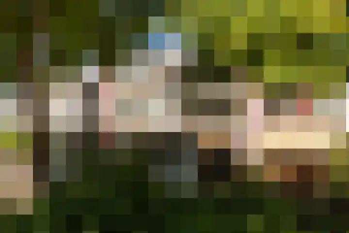 Zwaluwenburg 103 Dordrecht thumbnail 38