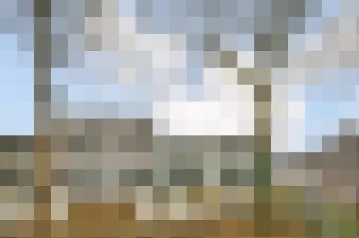 Zwaluwenburg 116 in Dordrecht