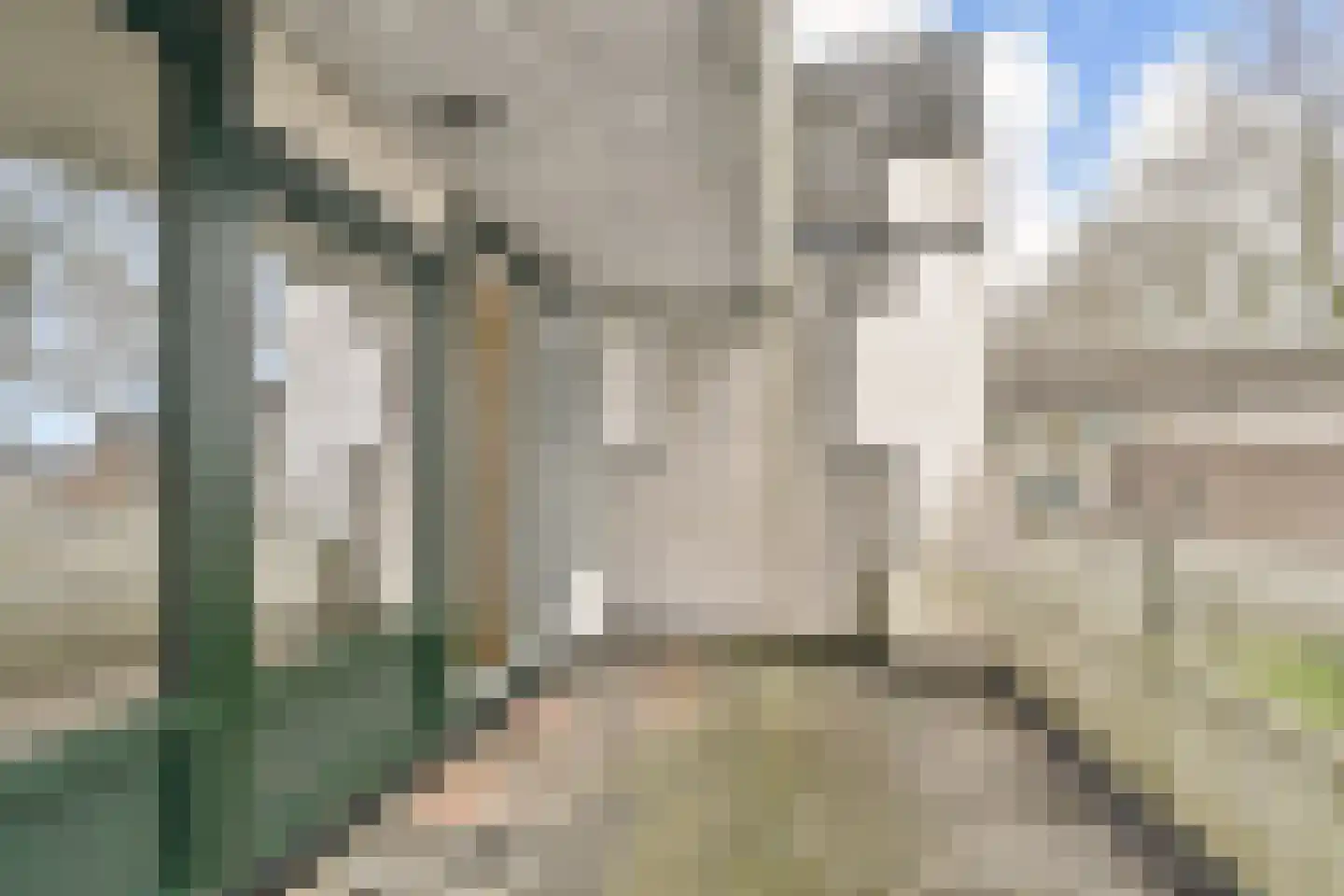Zwaluwenburg 116 Dordrecht thumbnail 6